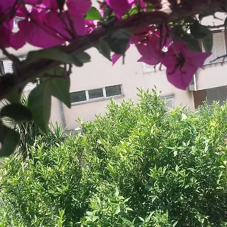 Centar 2* Макарска