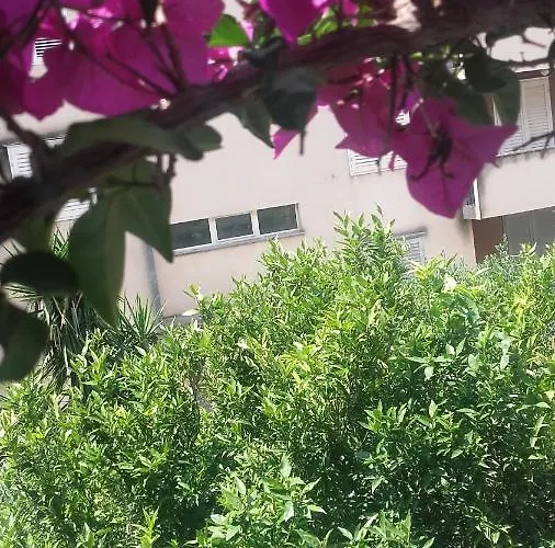 Centar 2* ماكارسكا